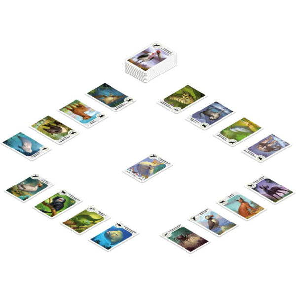 cardline-animaux-2