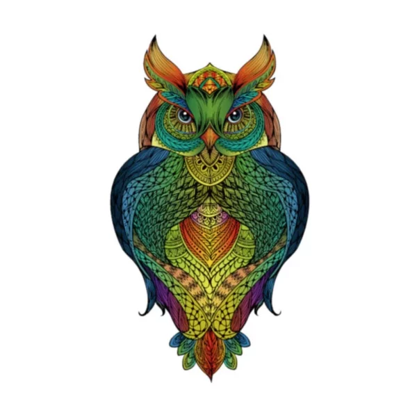 rainbow-puzzle-en-bois-hibou 137-pieces gigamic eureka jeux reves et jouets thonon les bains evian les bains haute savoie chablais leman suisse 1