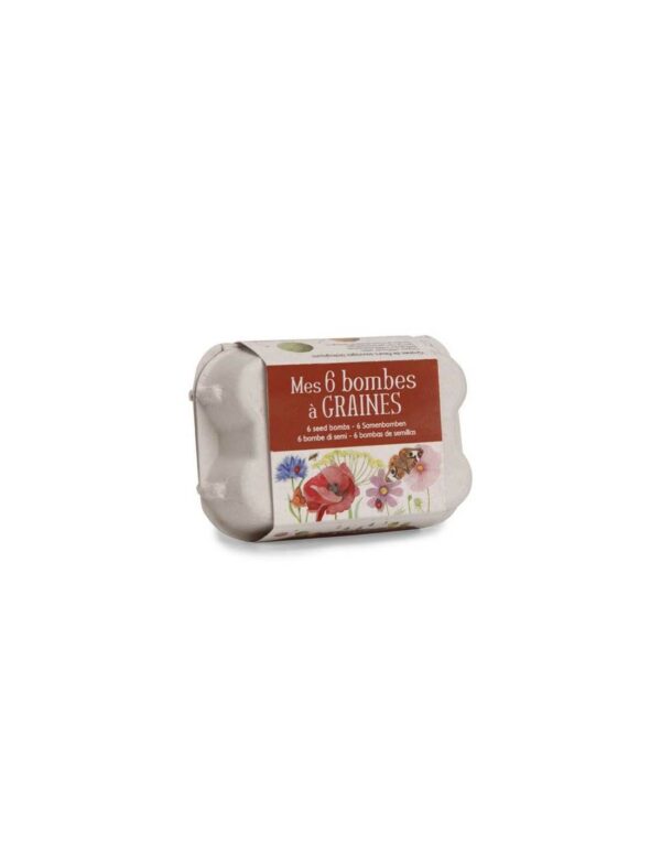 boite-a-oeufs-6-bombes-a-graines-le-jardin-du-moulin-moulin-roty (1)