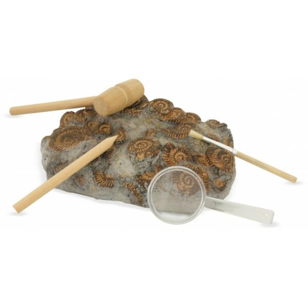 kit-paleo-a-travers-les-ages - DINOSAURES - loisir creatif