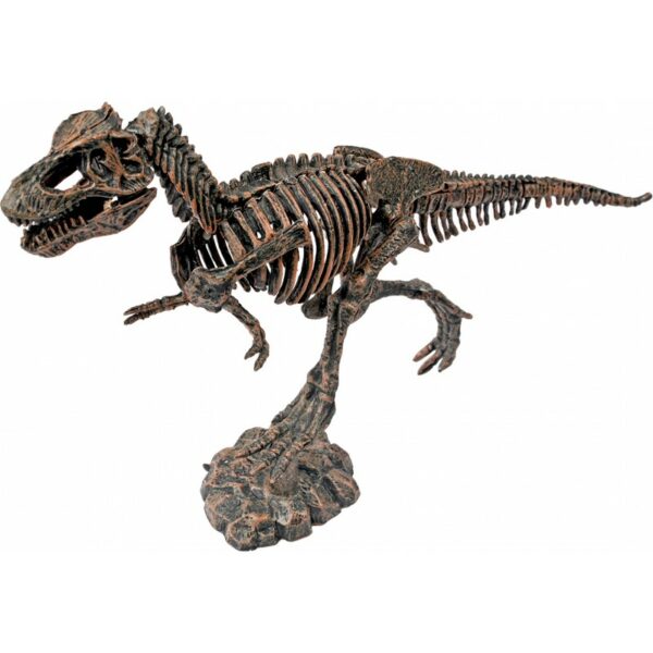 kit-paleo-a-travers-les-ages - DINOSAURES - loisir creatif