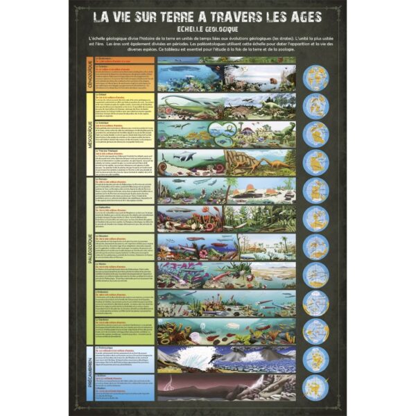 kit-paleo-a-travers-les-ages - DINOSAURES - loisir creatif