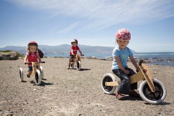 wishbone - draisienne - tricycle - vélo - apprentissage - thonon - haute savoie - 1