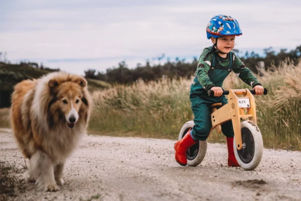 Draisienne en bois Wishbone - Vélo d'équilibre 2 en 1 – Image 5