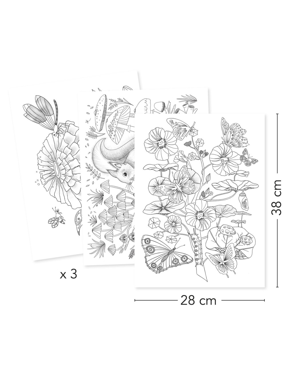 colouring-gallery-poster-a-colorier-naturaliste