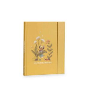 Livre_de_naissance_Trois_petits_lapins_Moulin_Roty_1_1