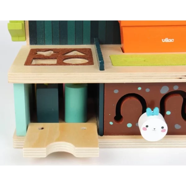 jardin-d-eveil-multi-activites-vilac (4)