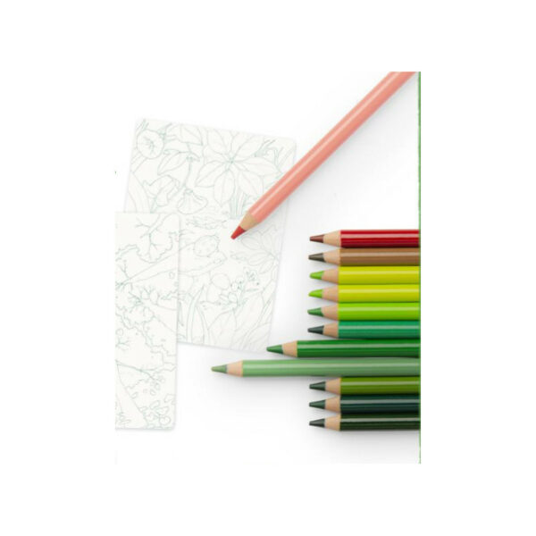 crayons-de-couleur-et-cartes-nature-le-jardin-du-moulin-moulin-roty-jeux-reves-et-jouets-loisir-creatif