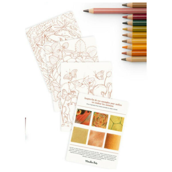 crayons-de-couleur-et-cartes-animaux-le-jardin-du-moulin-moulin-roty-jeux-reves-et-jouets-loisir-creatif