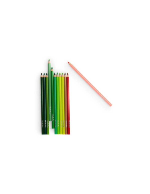 crayons-de-couleur-et-cartes-nature-le-jardin-du-moulin-moulin-roty-jeux-reves-et-jouets-loisir-creatif