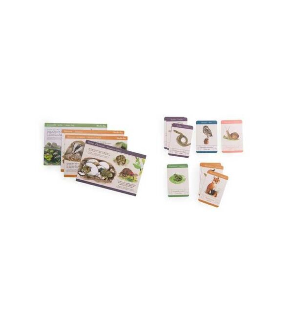 decouverte-des-animaux-du-jardin-le-jardin-du-moulin-moulin-roty-jeux-reves-et-jouets