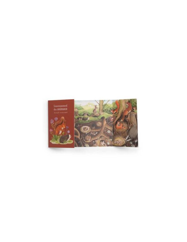 decouverte-des-animaux-du-jardin-le-jardin-du-moulin-moulin-roty-jeux-reves-et-jouets