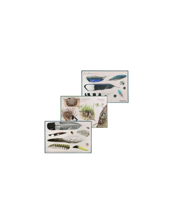 decouverte-des-oiseaux-le-jardin-du-moulin-moulin-roty-jeux-reves-et-jouets