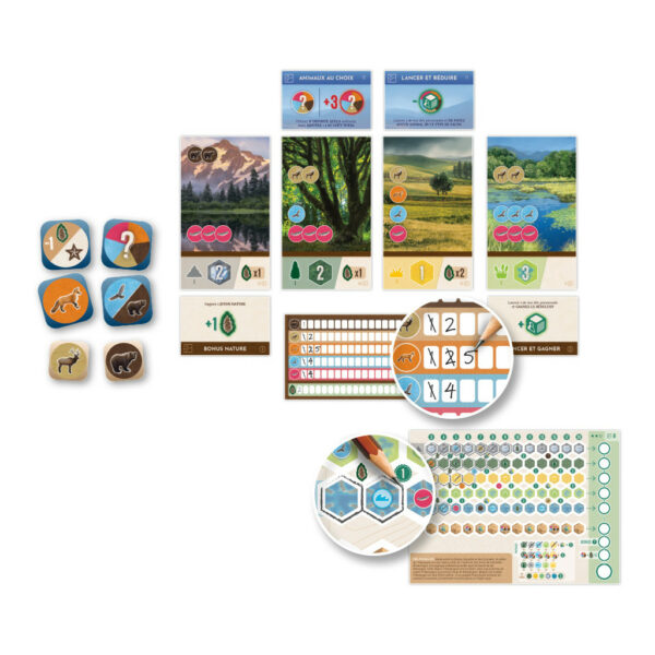 cascadia-rolling-prairies--jeu-de-societe-jeu-initie--jeux-reves-et-jouets