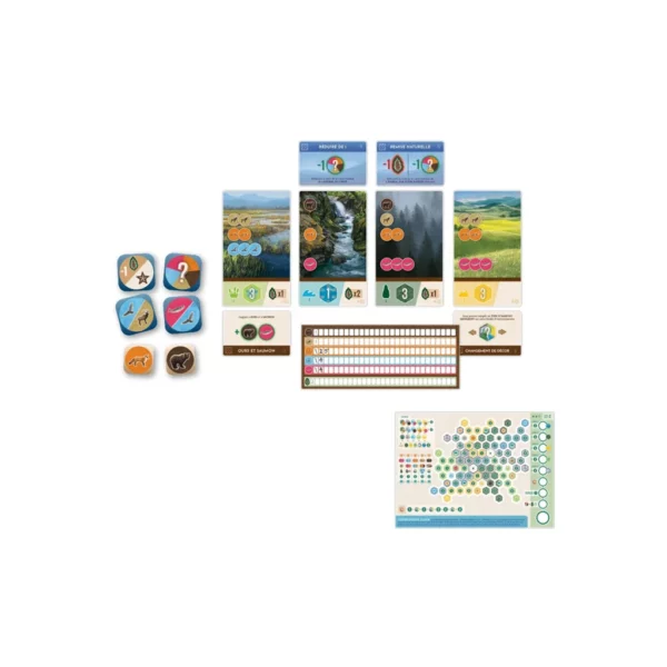 cascadia-rolling-rivieres--jeu-de-societe-jeu-initie--jeux-reves-et-jouets