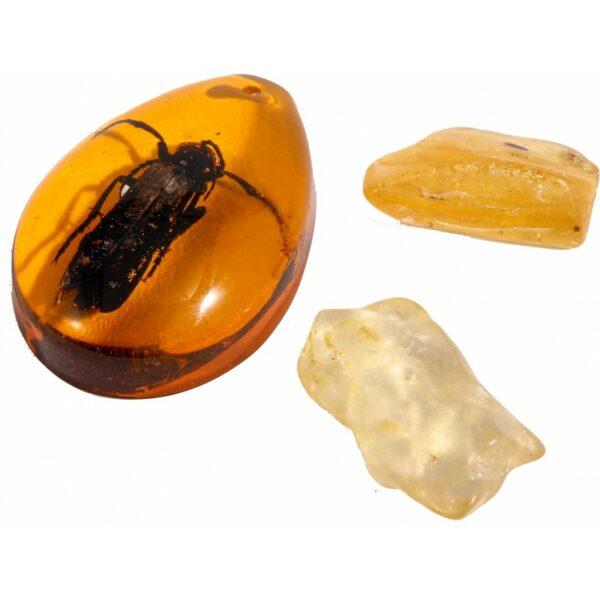 kit-paleo-l-ambre-loisir-creatif-kit-paleo-jeux-reves-et-jouets