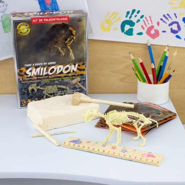 kit-paleo-smilodon-loisir-creatif-kit-paleo-jeux-reves-et-jouets