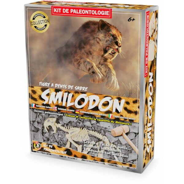kit-paleo-smilodon-loisir-creatif-kit-paleo-jeux-reves-et-jouets