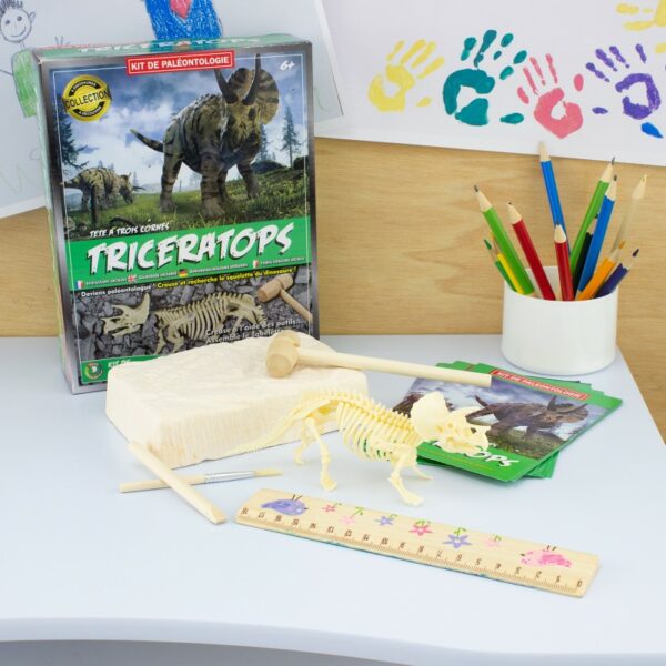 kit-paleo-triceratops-loisir-creatif-kit-paleo-jeux-reves-et-jouets