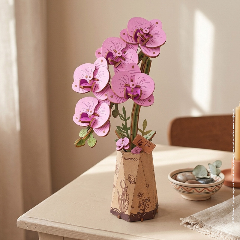 Purple Moth Orchid - Rowood