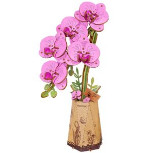 Purple Moth Orchid - Rowood