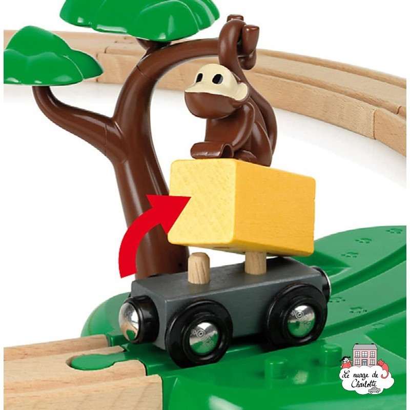 Circuit Safari - Brio