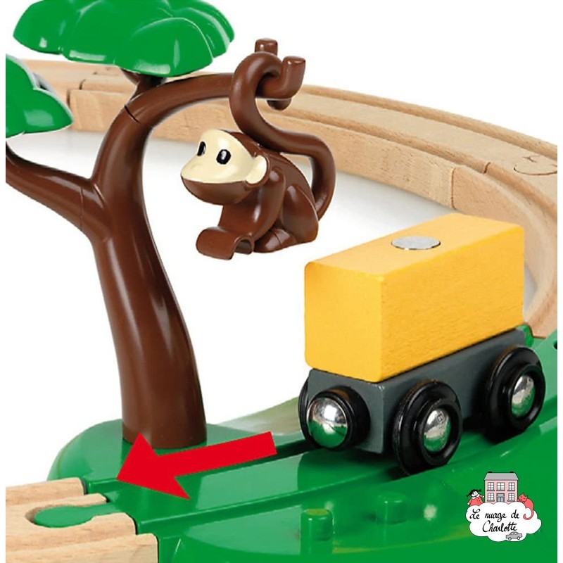 Circuit Safari - Brio