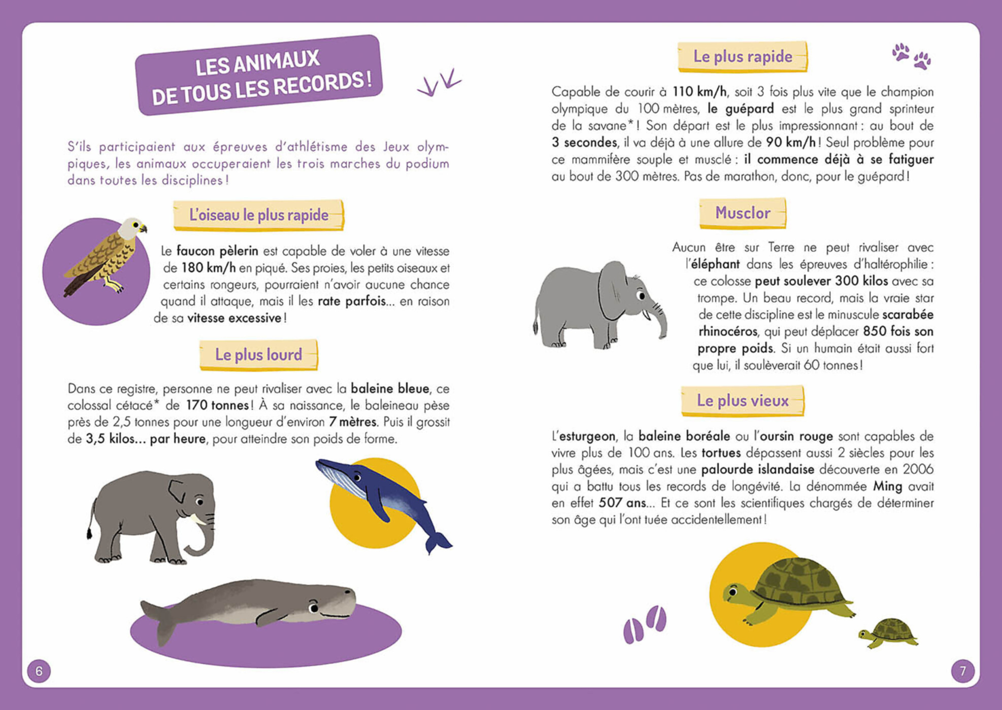 Coffret d'activités - à la découverte des animaux du monde - Auzou