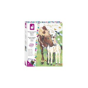 Peinture au numero Aquarelle - Chevaux - Janod