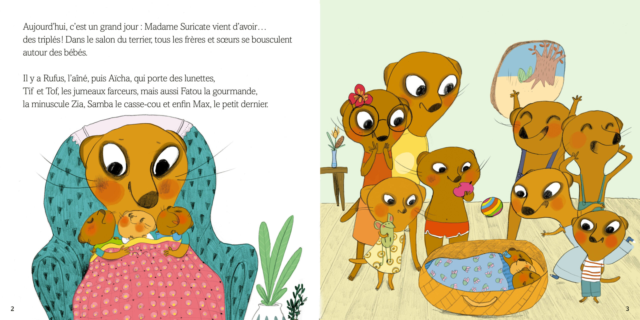 FAMILLE SURICATE DEMENAGE - Auzou
