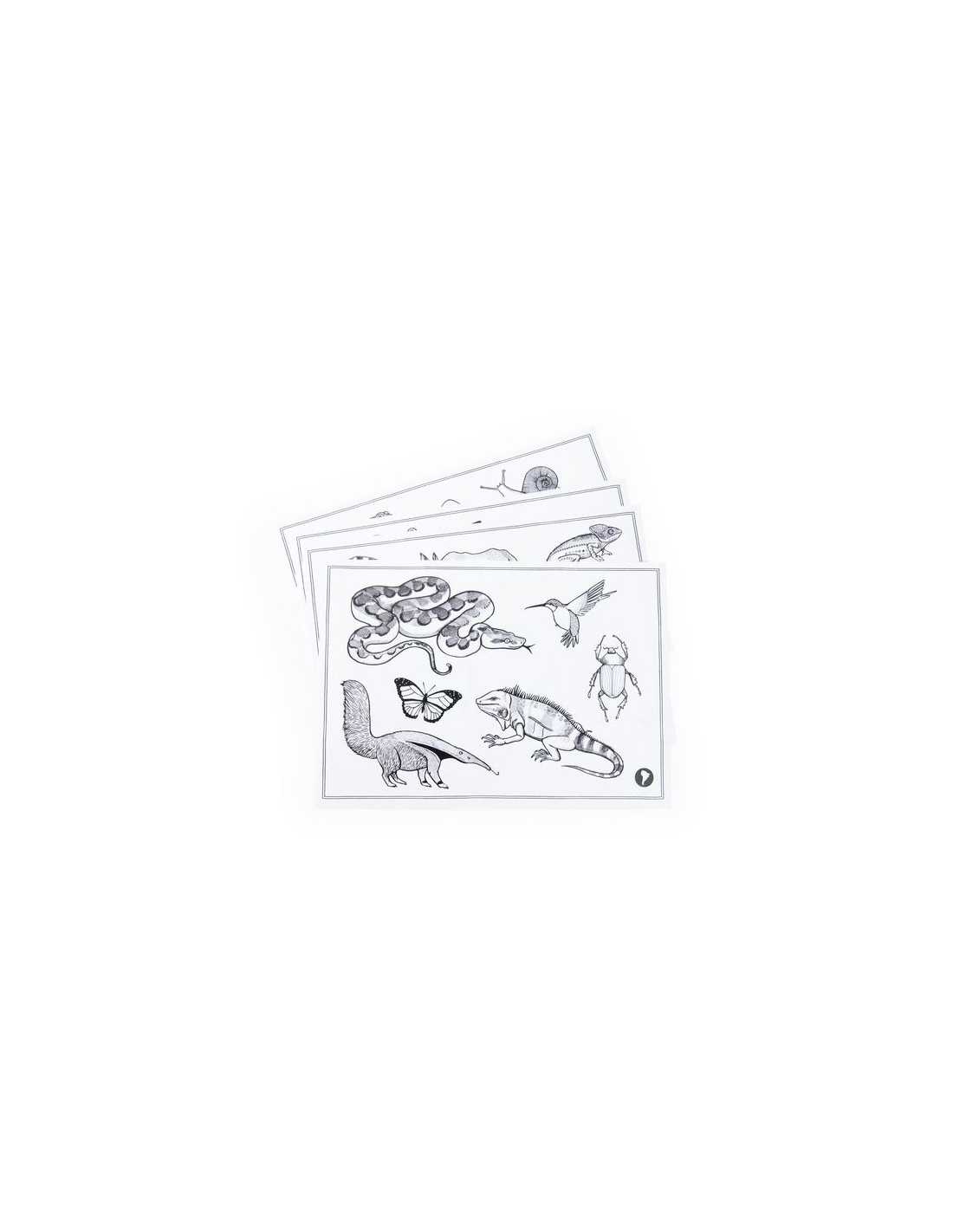 Tablette lumineuse Kidywolf - Tout autour du monde - Moulin Roty