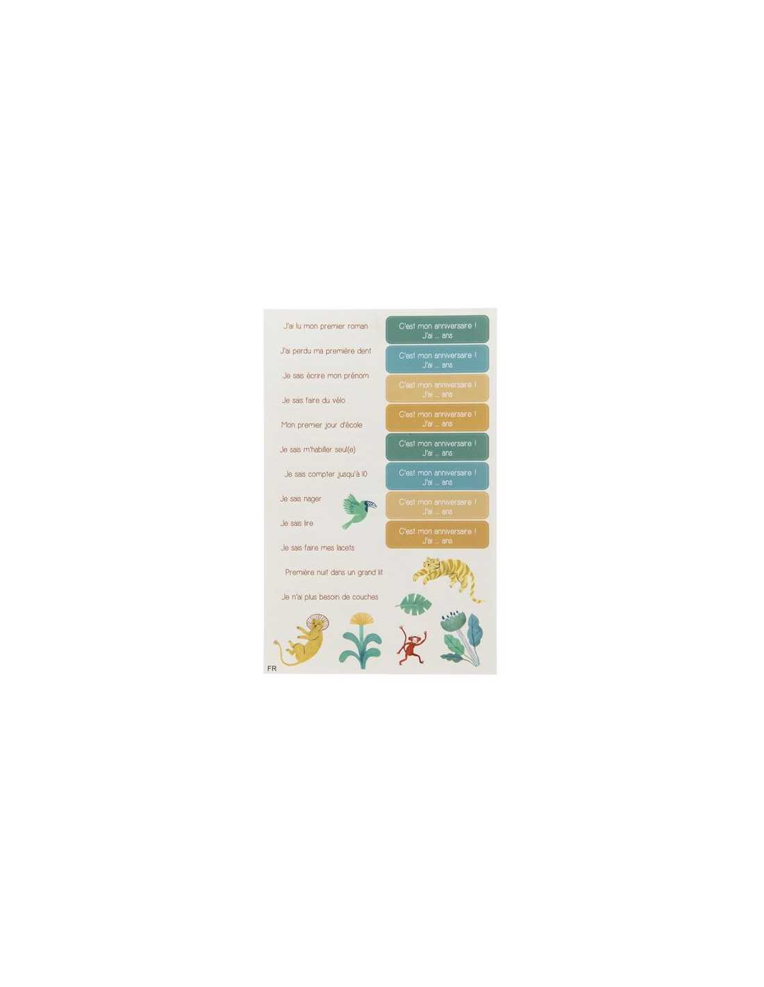 Toise carnet - La forêt Mawa - Moulin Roty