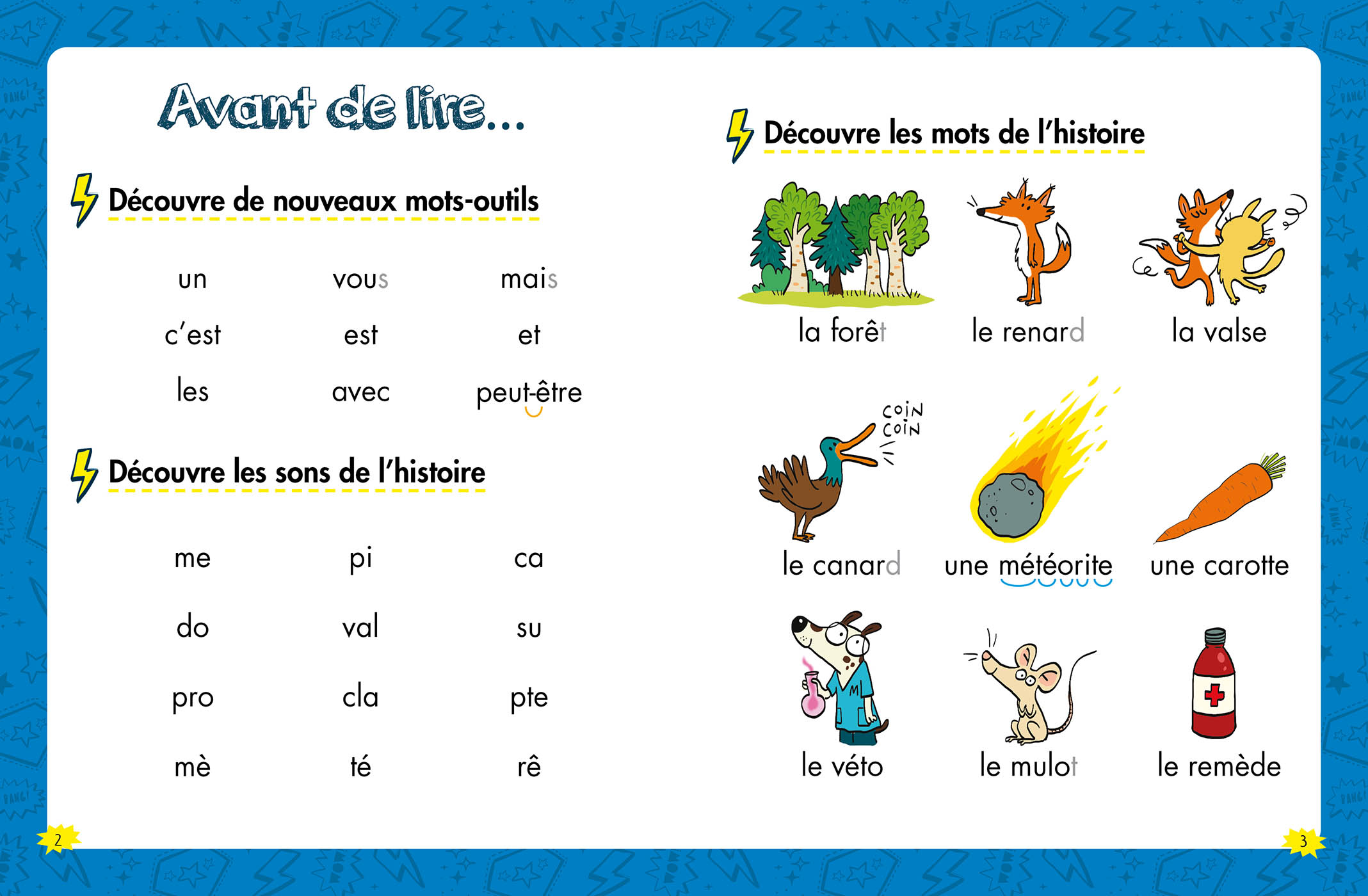 Les héros du cp - Niveau 1 - Les animaux dingos - Auzou