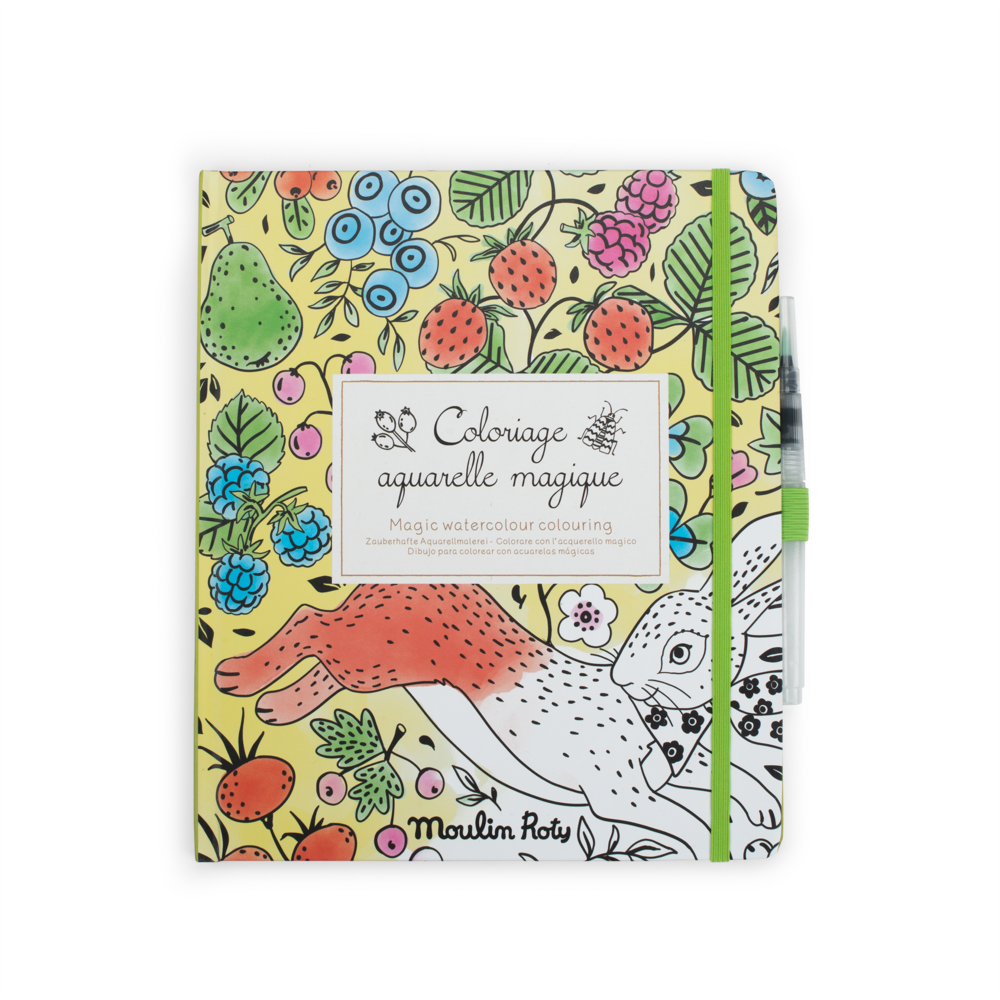 Cahier coloriage aquarelle magique - Moulin Roty