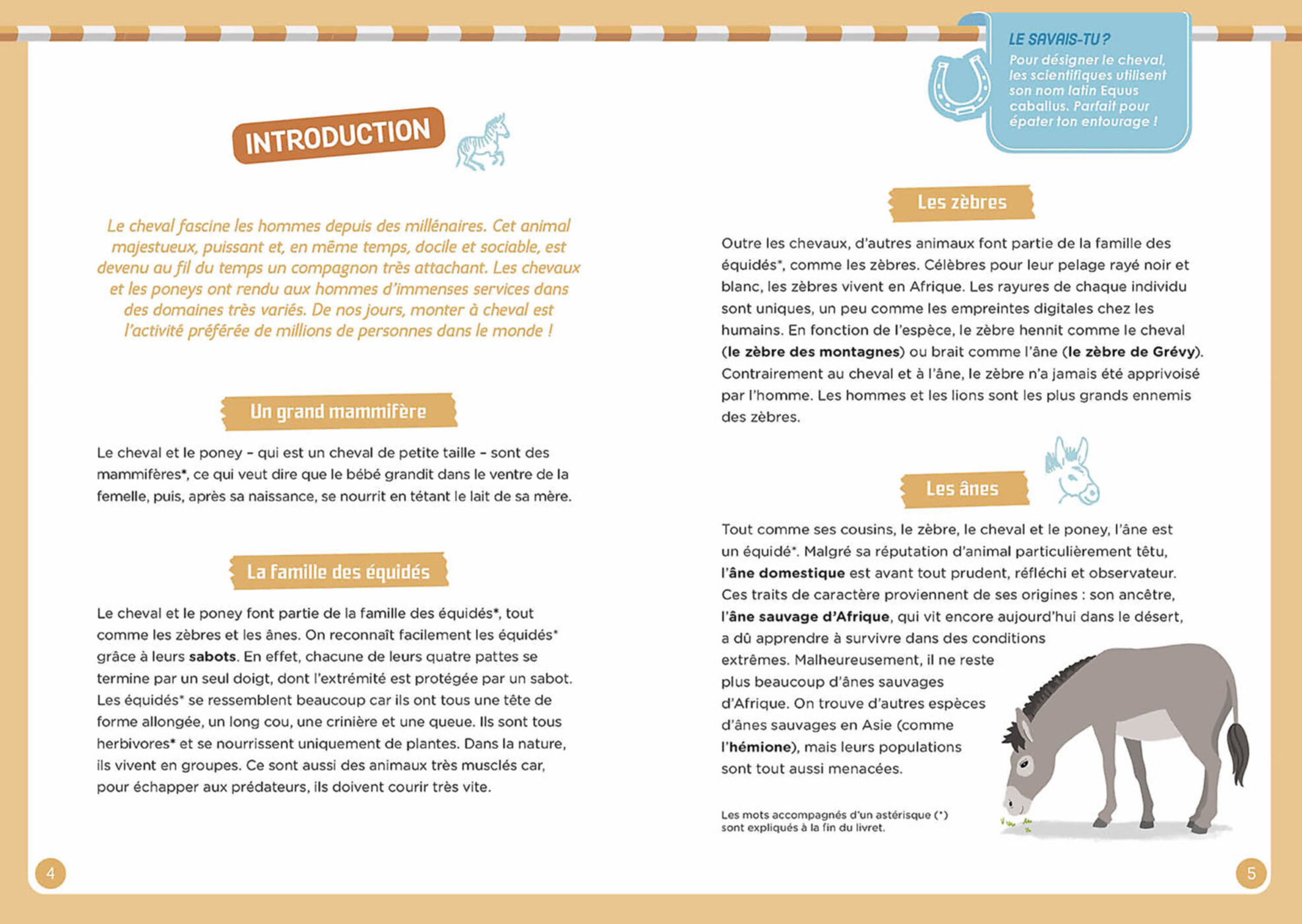 Coffret d'activités - À la découverte des chevaux - Auzou