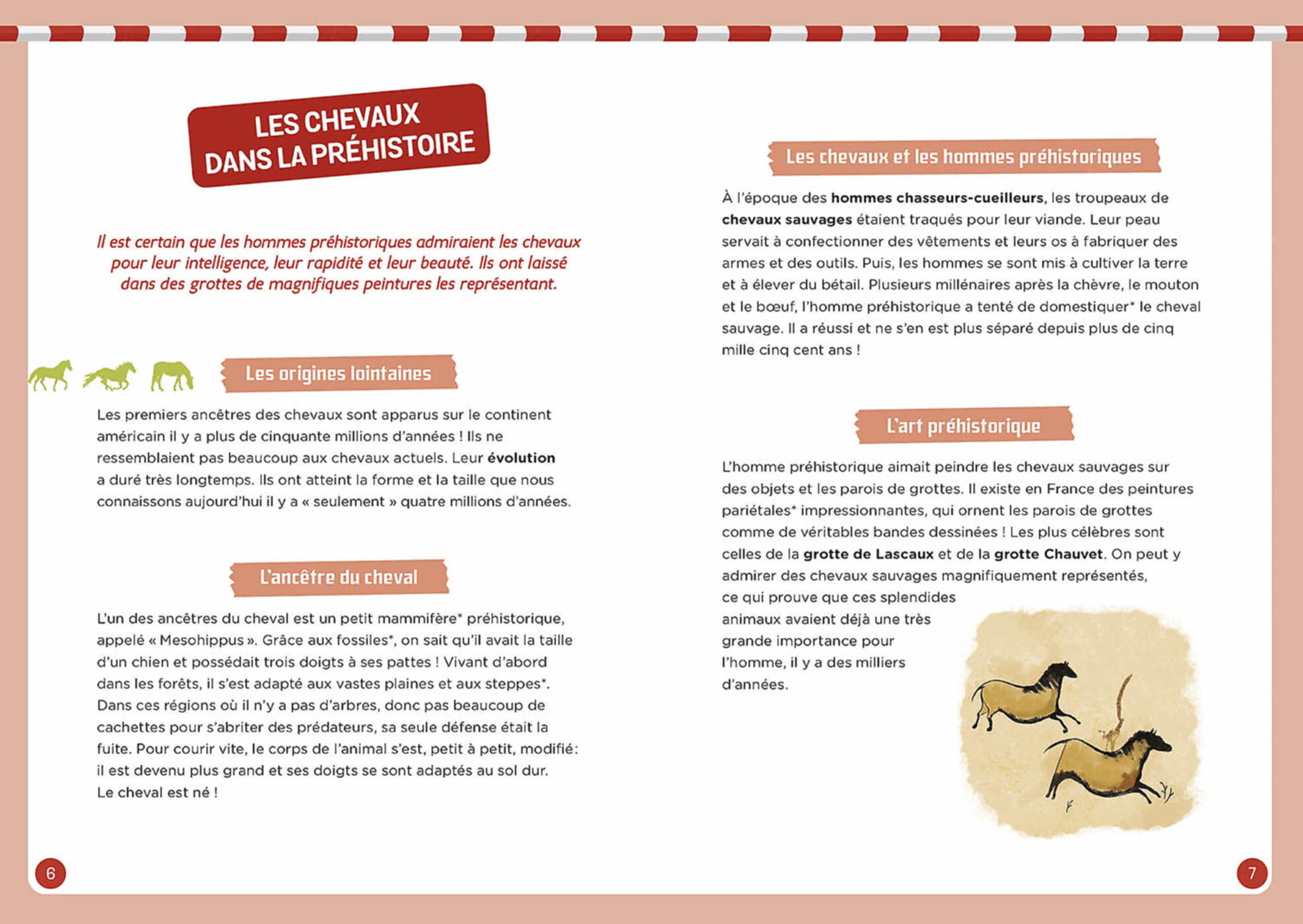 Coffret d'activités - À la découverte des chevaux - Auzou