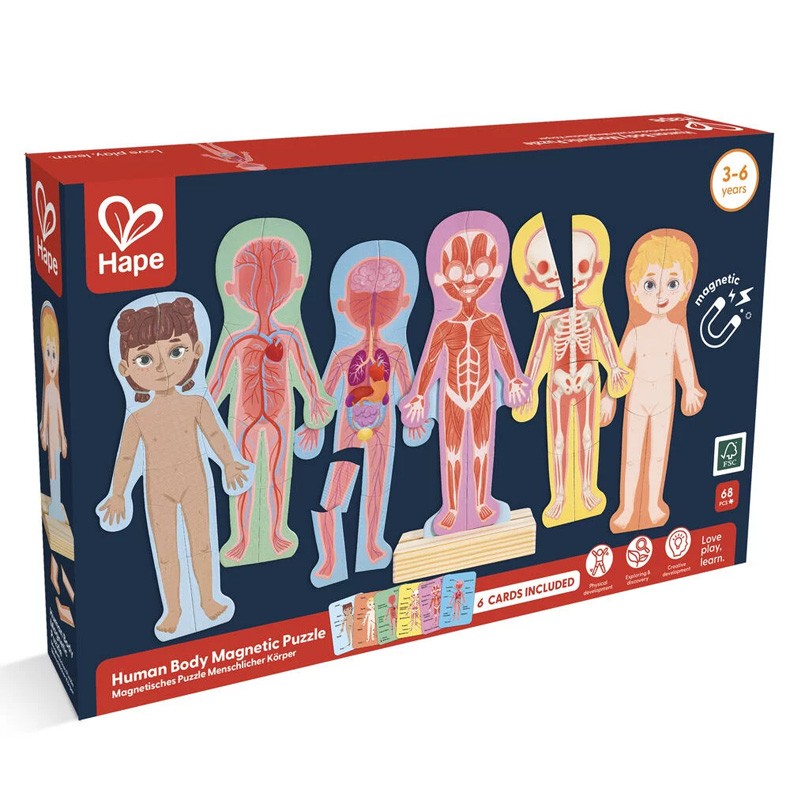 Puzzle aimanté - assemble le corps humain - Hape