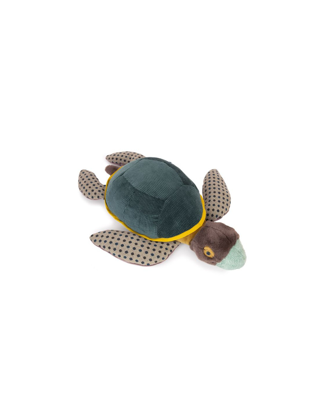 Grande tortue - tout autour du monde
