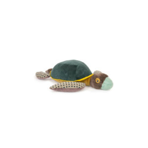Grande tortue - tout autour du monde