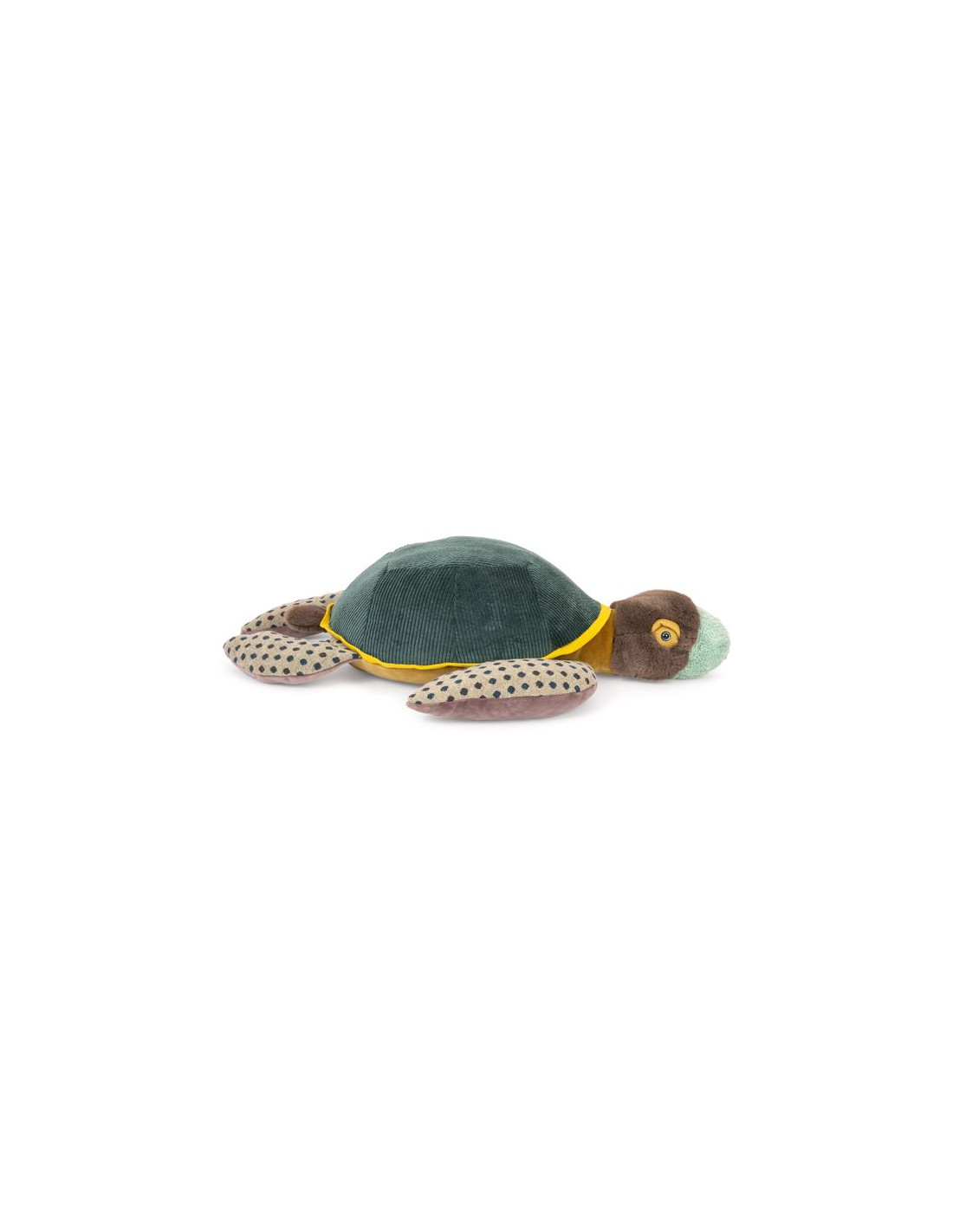Grande tortue - tout autour du monde