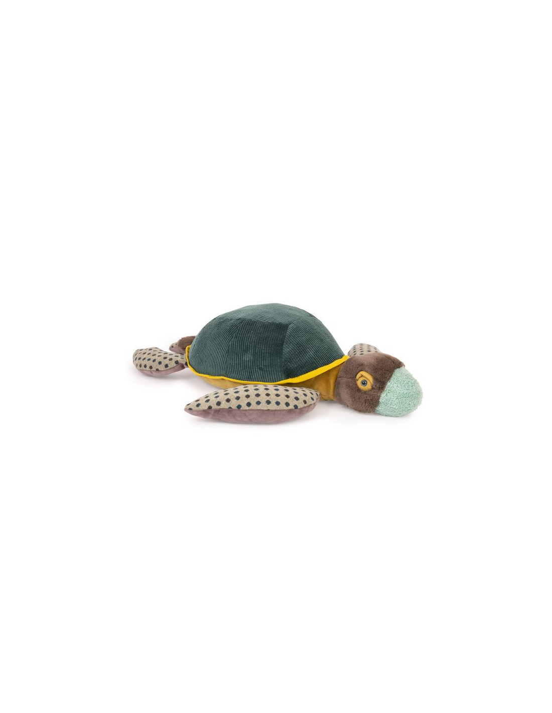 Grande tortue - tout autour du monde