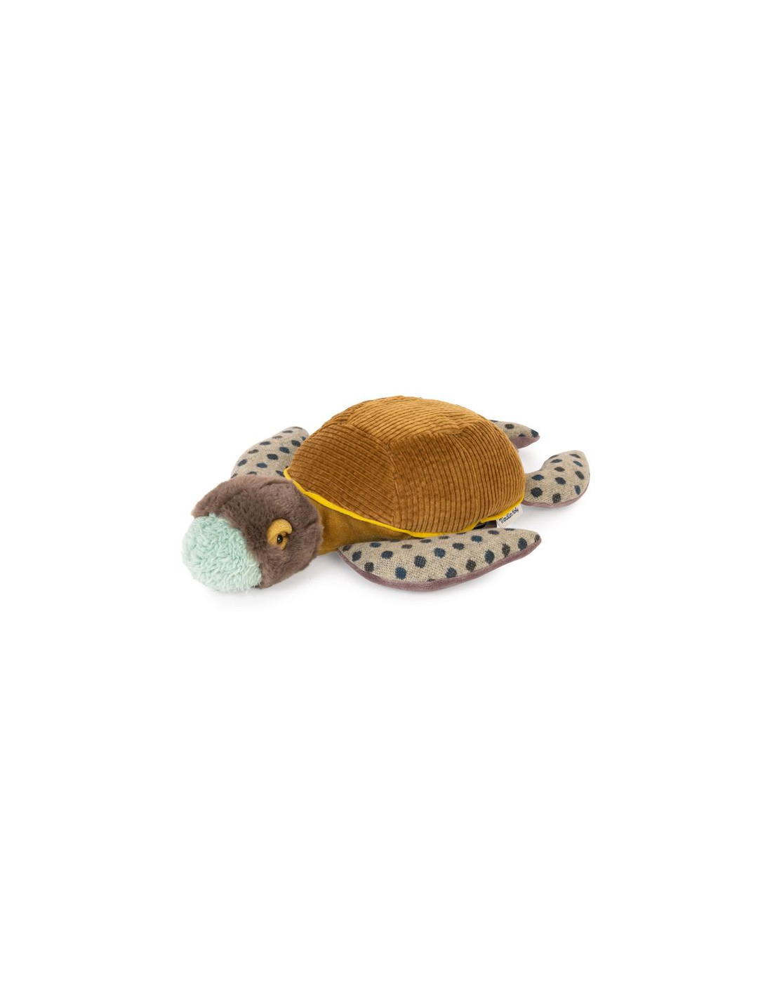Petite tortue - tout autour du monde