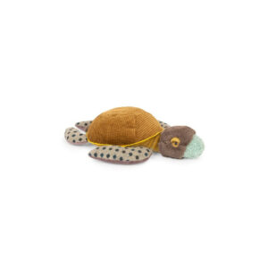 Petite tortue - tout autour du monde