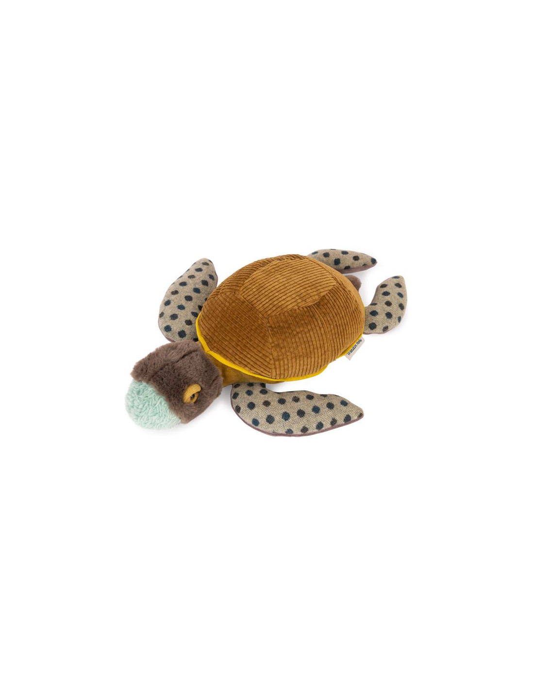 Petite tortue - tout autour du monde