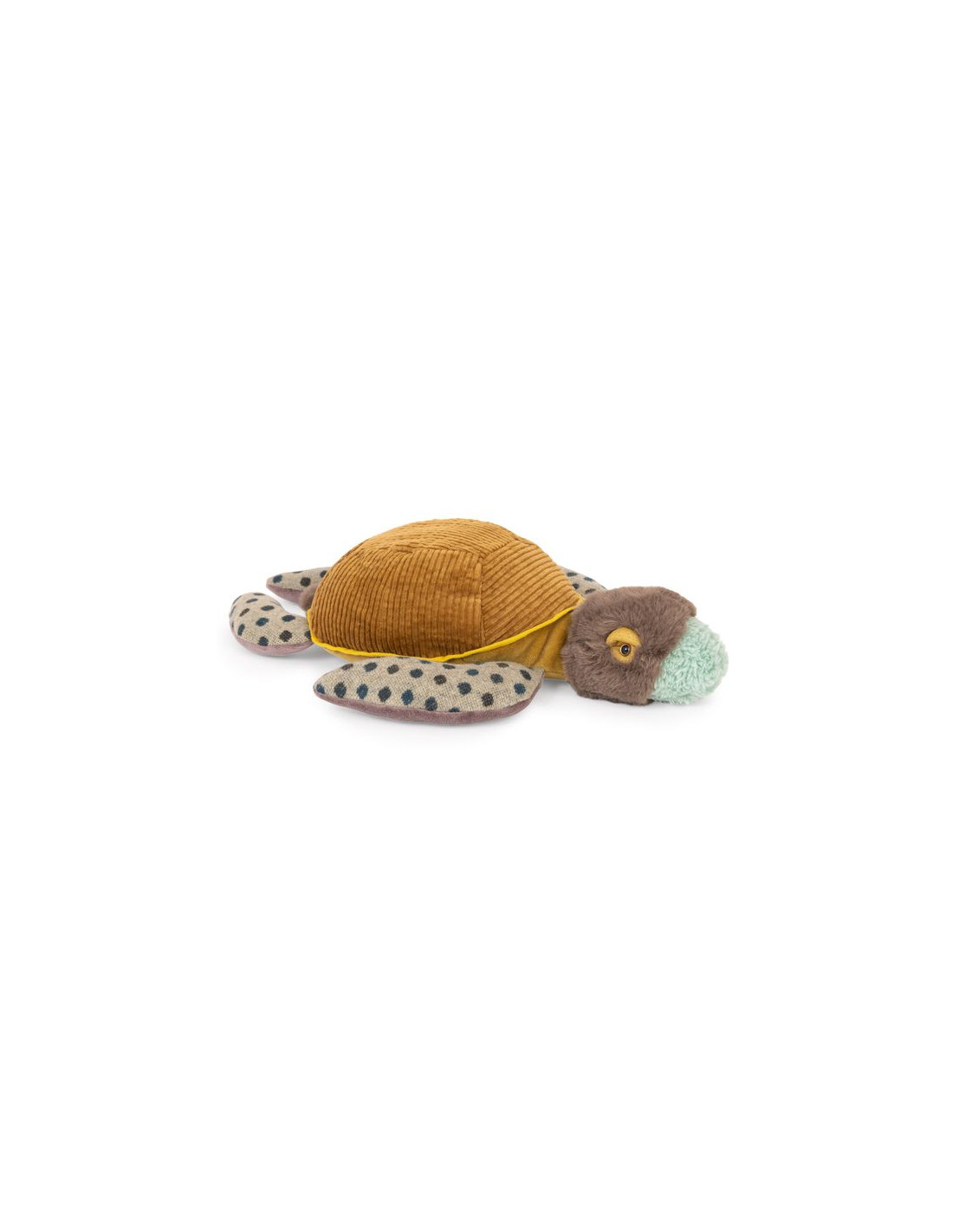 Petite tortue - tout autour du monde