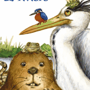 Plif-plaf-plouf-La-riviere-yoto-jeuxrevesetjouets-thonon-evian.