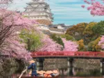 Puzzle-1000-pièces-clementoni-chateau-de-himeji-japon-fleur-cerisier-jeux-reves-et-jouets