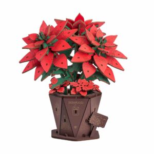 Poinsettia - Rowood