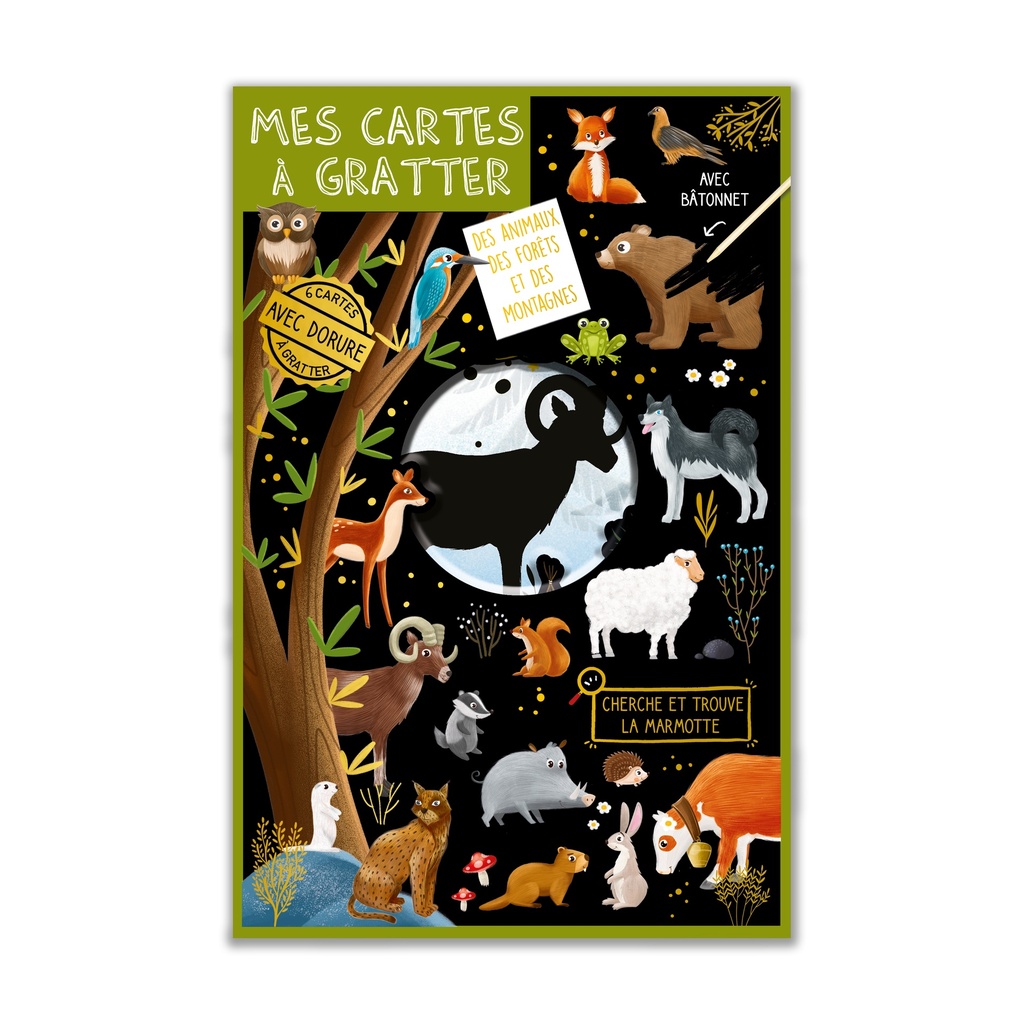 CARTES A GRATTER ANIMAUX DE LA FORÊT