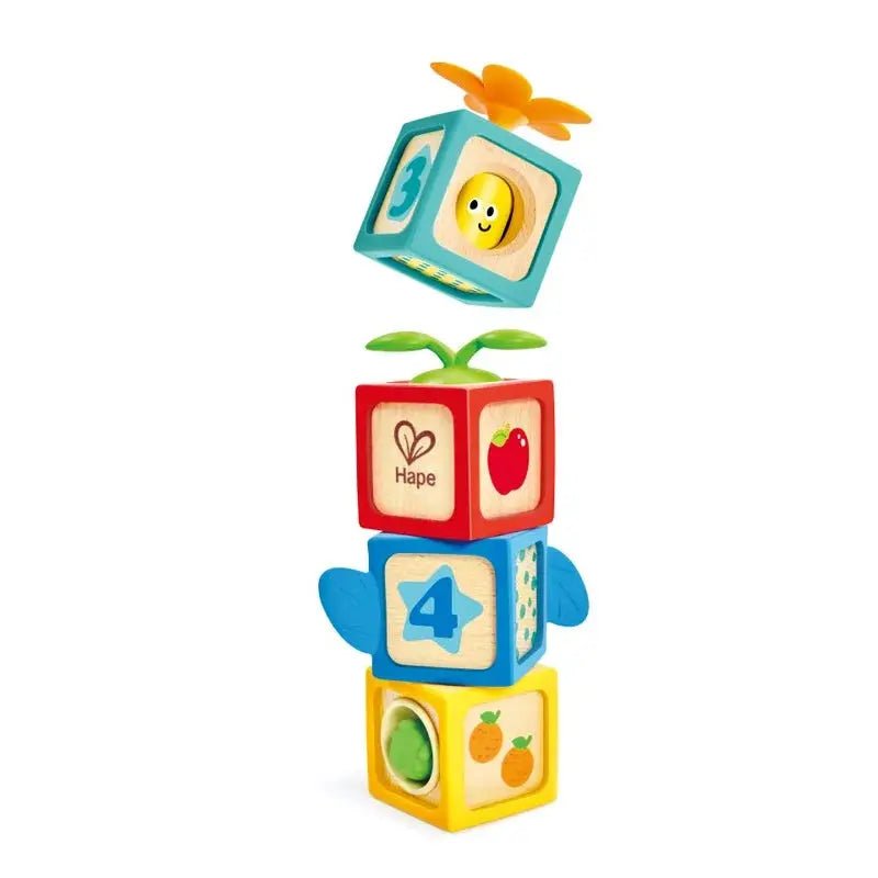 Ensemble de 4 cubes sensoriels - Hape